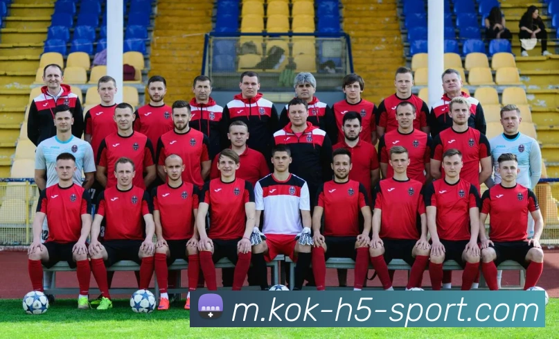 KOK体育平台生态图